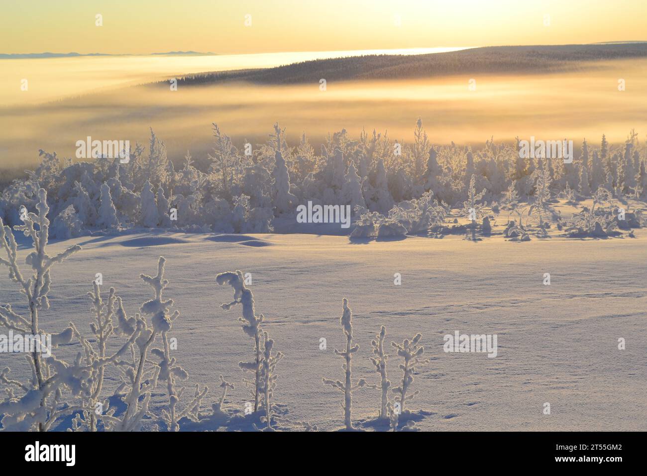 Paesaggio invernale a Eagle Plains Foto Stock