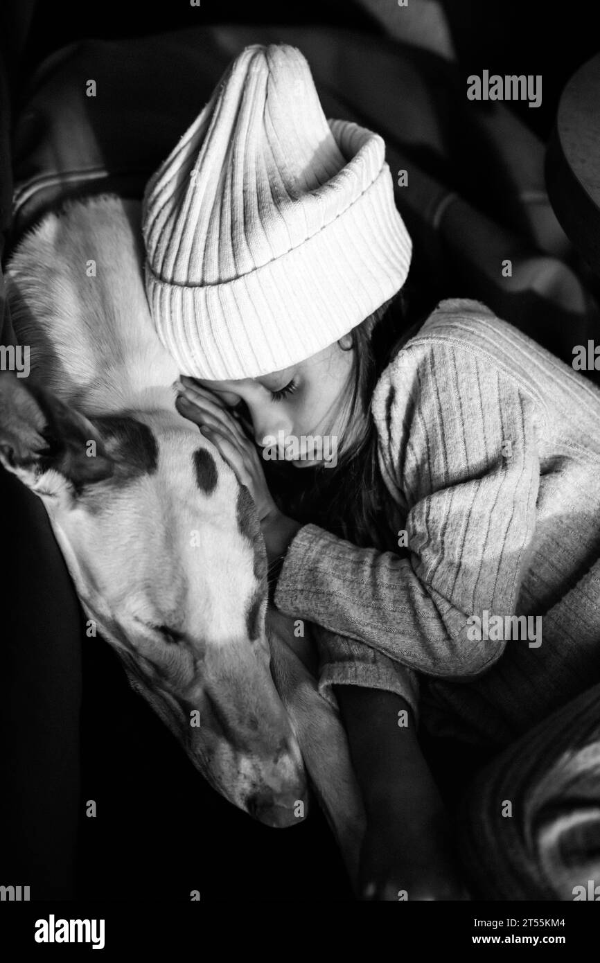 Amicizia tra un bambino e un cane, una bambina dorme su un cane. Foto Stock