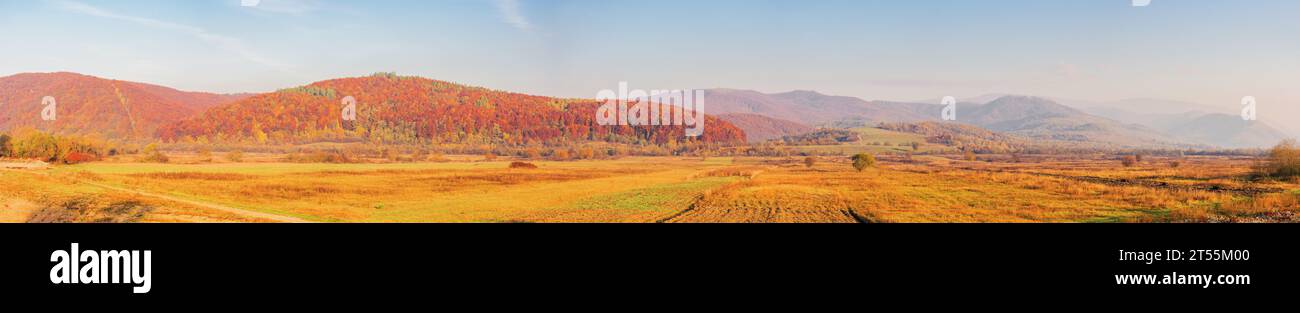 paesaggio rurale montuoso dei carpazi alla luce del mattino. paesaggio di campagna in autunno Foto Stock