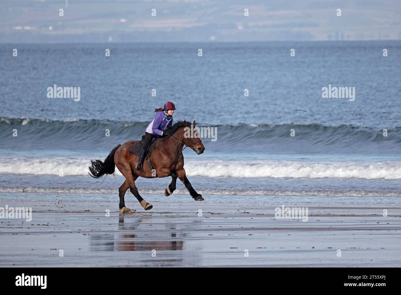 Equitazione sulla spiaggia del John Muir Country Park East Lothian Scozia Foto Stock