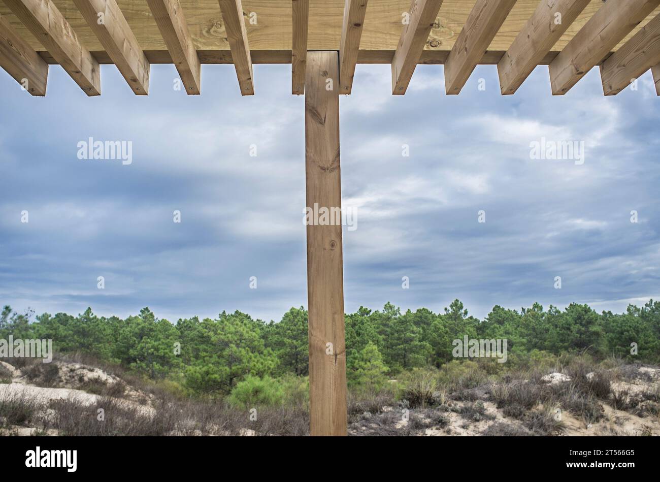 Pergolato di legno affacciato sulla foresta. Spiaggia di Monte Gordo, Vila Real de Santo Antonio, Portogallo Foto Stock