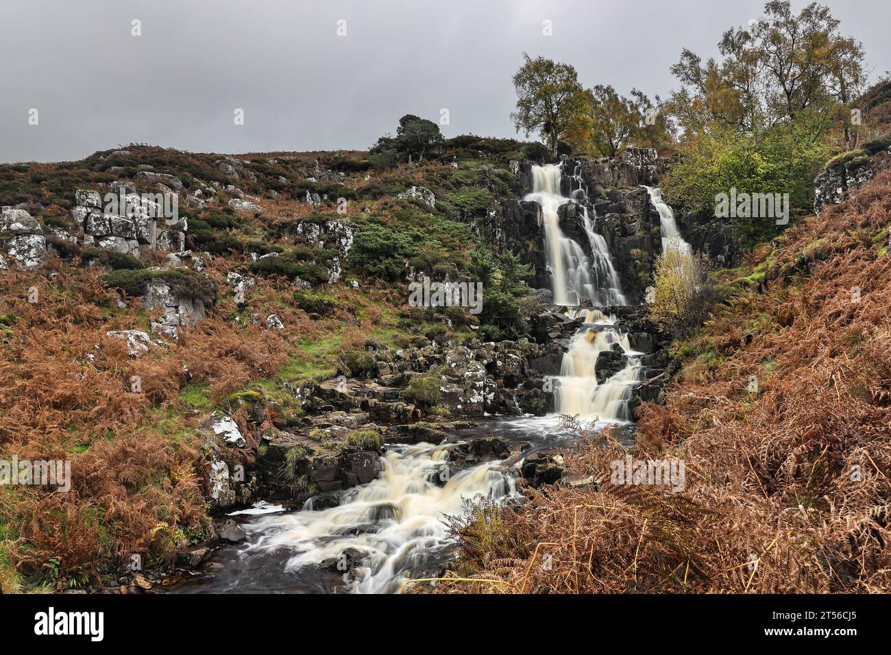 Bleabeck Force in Early Autumn, Upper Teesdale, County Durham, Regno Unito Foto Stock