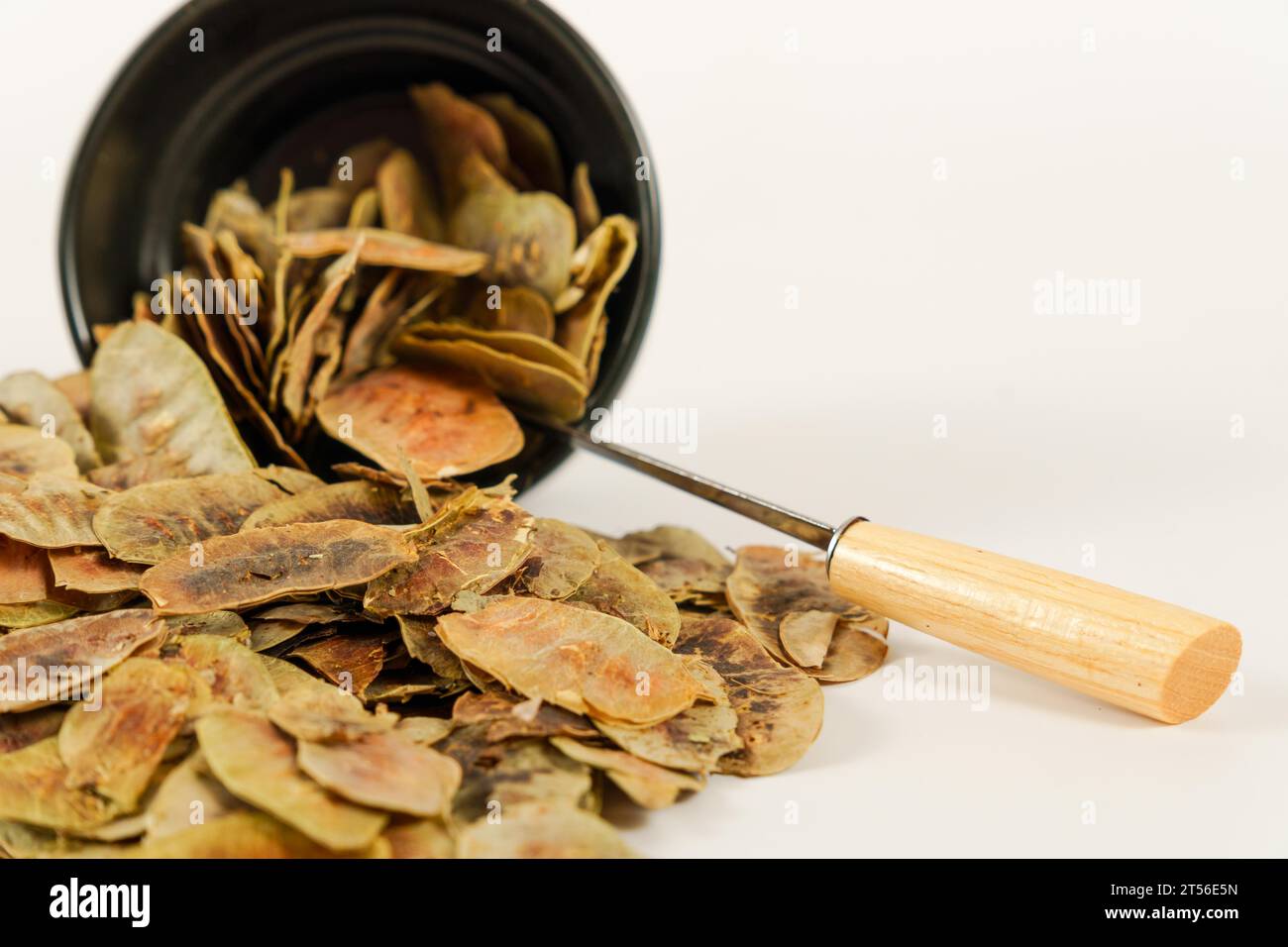 Cialde Senna alexandrina. Cassia senna, con proprietà depurative e disintossicanti in una ciotola in ceramica nera con cucchiaio in metallo e legno, isolata su un Foto Stock