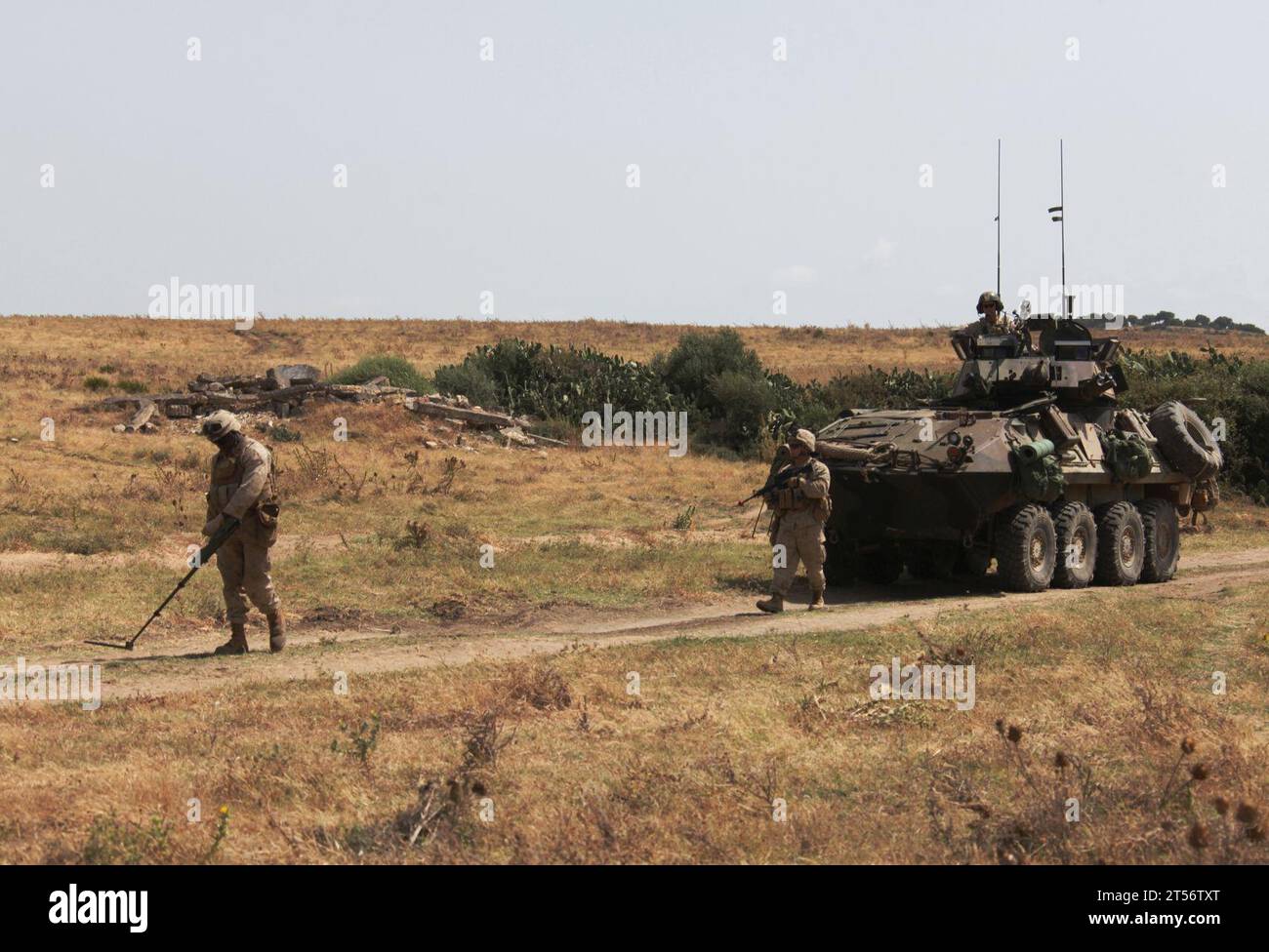 2nd Battalion, 2nd Marine Regiment, 3rd Mechanized Landing Battalion, 22nd Marine Expeditionary Unit, 22nd MEU, Battalion Landing Team, Counter Improvised Explosive Device training, Foreign Military, improvvisato ordigno esplosivo, ingegneri marini, marina, Spagna, spagnolo, spagnolo esercitazione bilaterale anfibia spagnola, U.S. Marines, U.S. Navy, USMC, Weapons Company Foto Stock