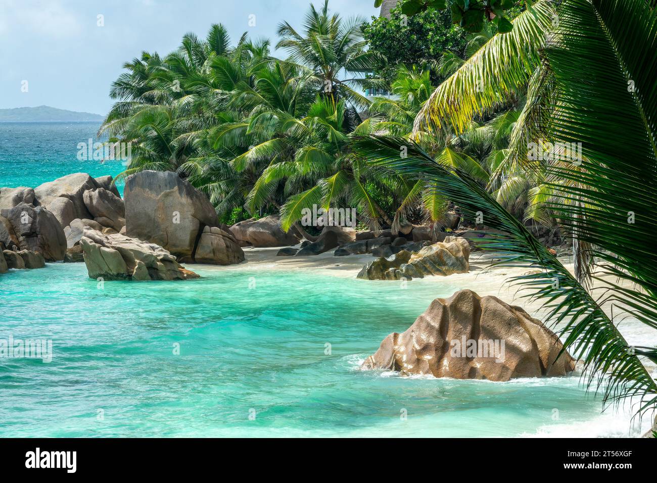 Rocce di granito e palme sulla scenografica spiaggia tropicale di Anse Patates, isola la Digue, Seychelles Foto Stock