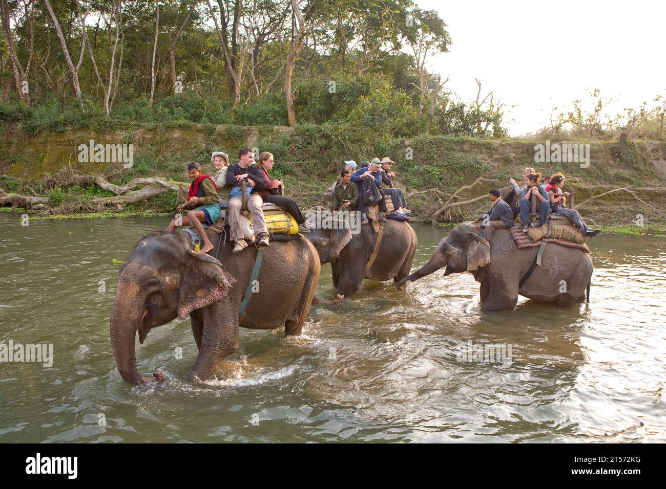 CHITWAN PARK NEPAL Foto Stock