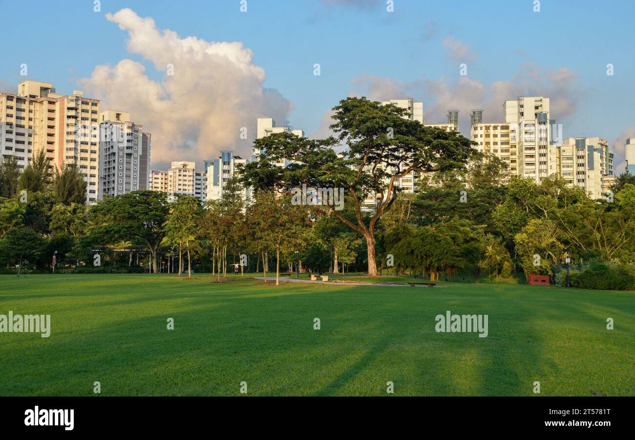 Il Lakeside Garden fa parte dei Jurong Lake Gardens nella parte occidentale di Singapore. Sullo sfondo ci sono edifici residenziali. Foto Stock