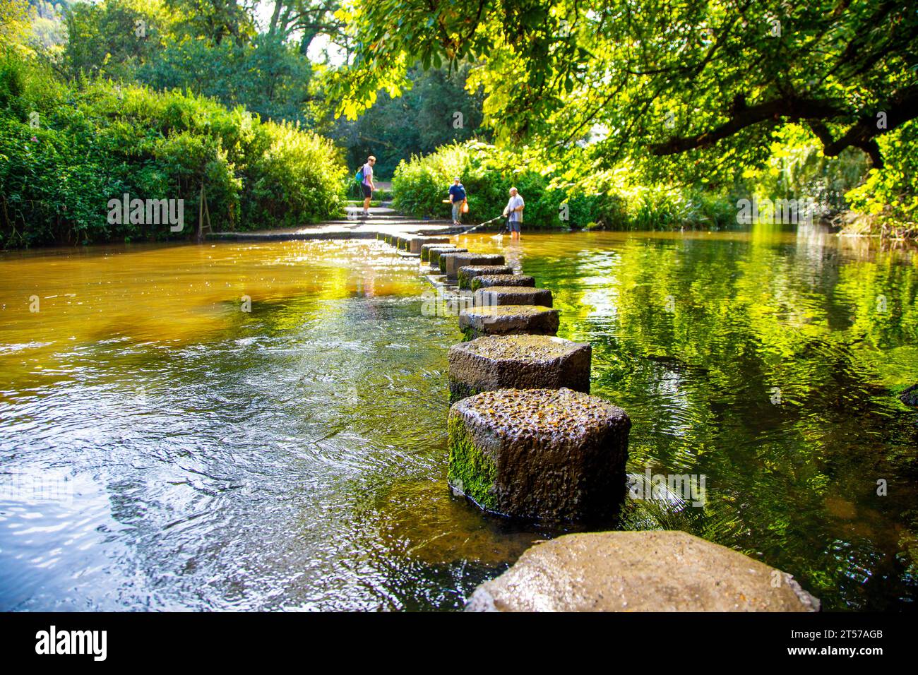 Box Hill stepping Stones over the River Mole, North Downs, Surrey, Inghilterra Foto Stock