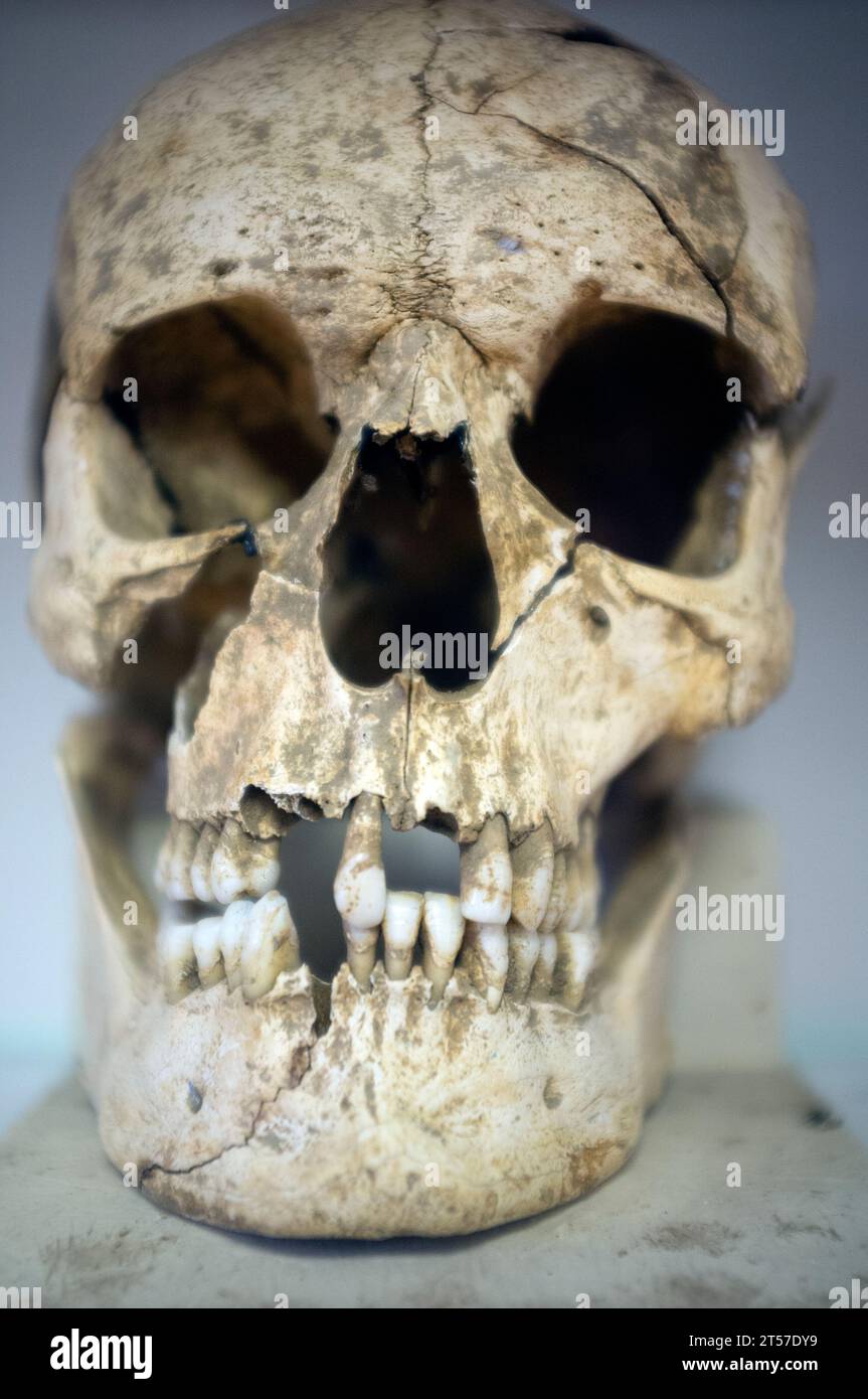 Il Museo di Archeologia e Paleontologia di Minerve, Francia Foto Stock