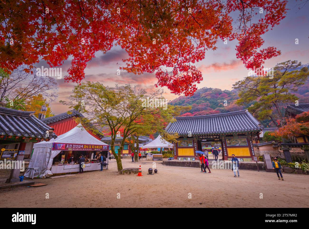 Autunno colorato con splendida foglia d'acero al tempio di Baekyangsa nel parco nazionale di Naejangsan, Corea del Sud. Foto Stock