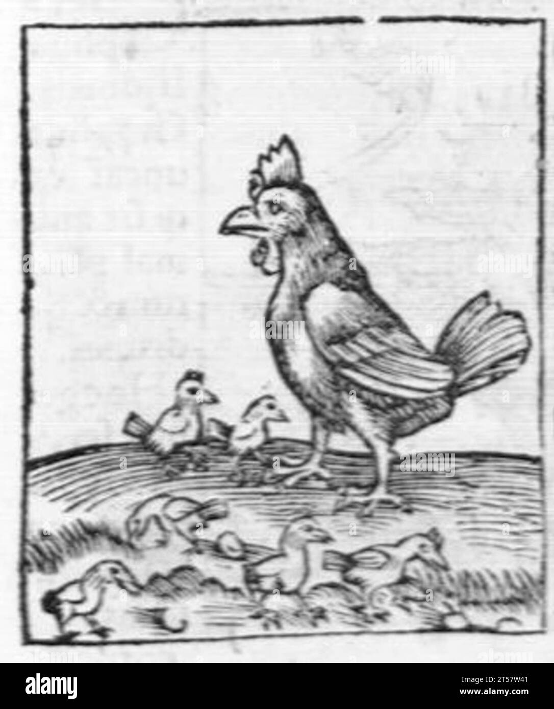 Hortus sanitatis..., 1536 Foto Stock