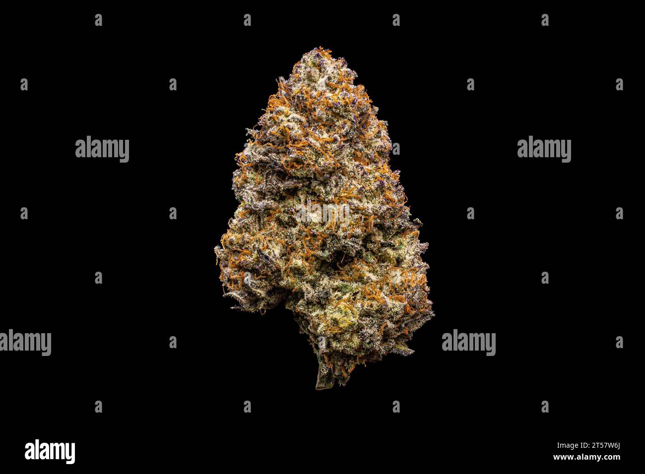 Torta gelato - Nug di Cannabis secco su sfondo nero Foto Stock