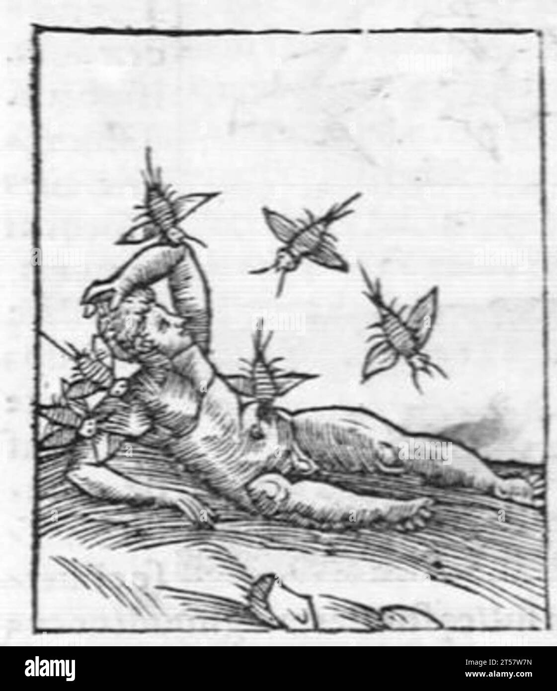 Hortus sanitatis..., 1536 Foto Stock