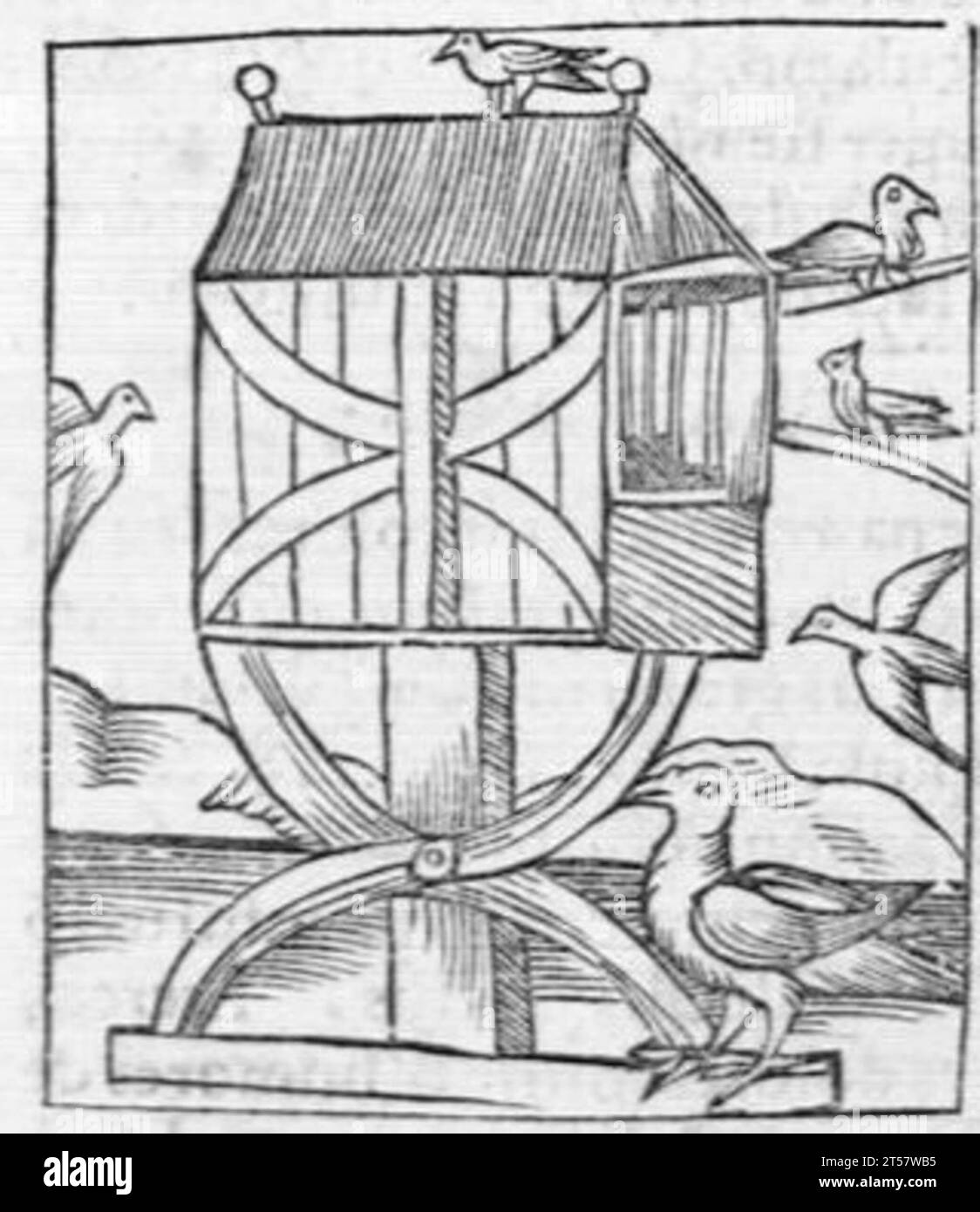 Hortus sanitatis..., 1536 Foto Stock