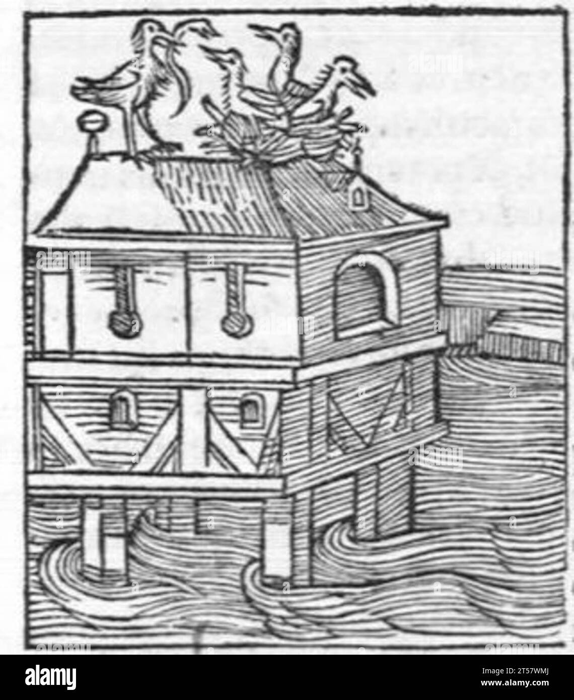 Hortus sanitatis..., 1536 Foto Stock