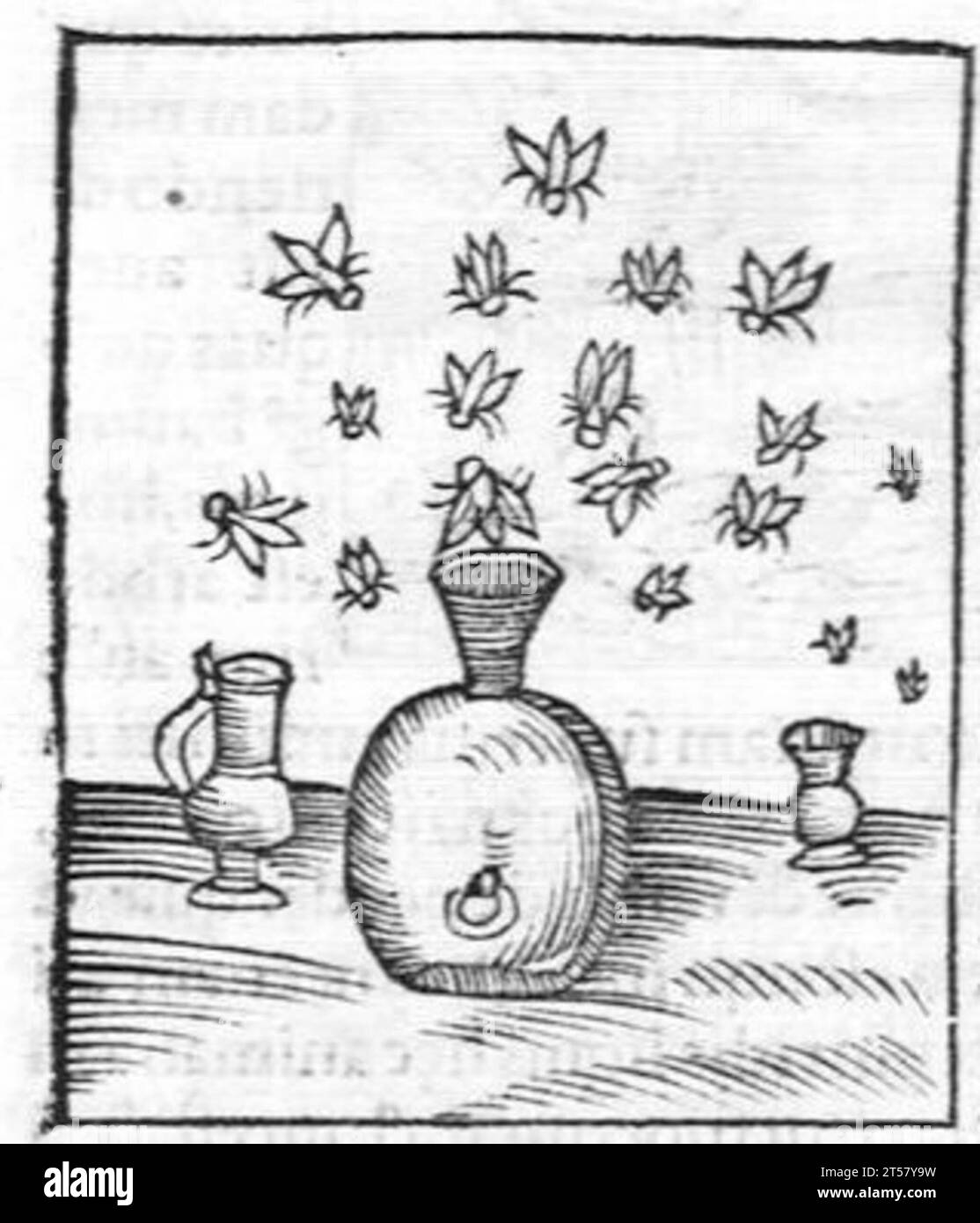 Hortus sanitatis..., 1536 Foto Stock