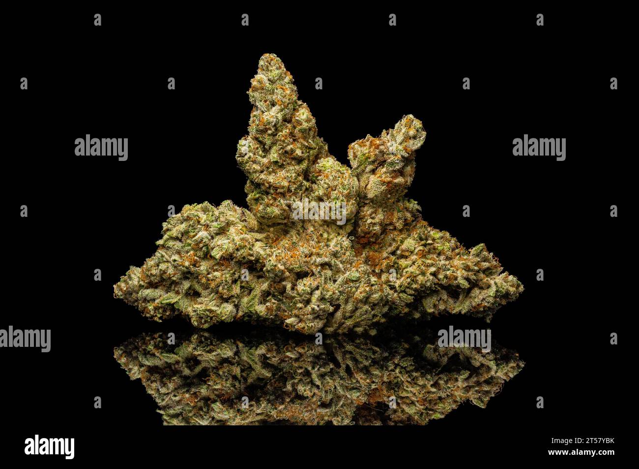 Jealousy Strain - NUG di piante di cannabis secca su sfondo nero Foto Stock