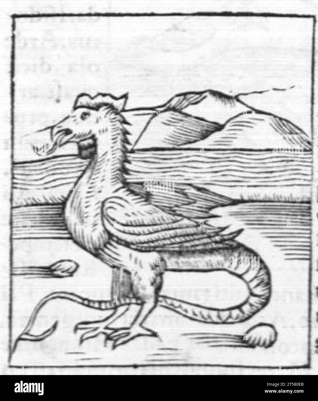 Hortus sanitatis..., 1536 Foto Stock