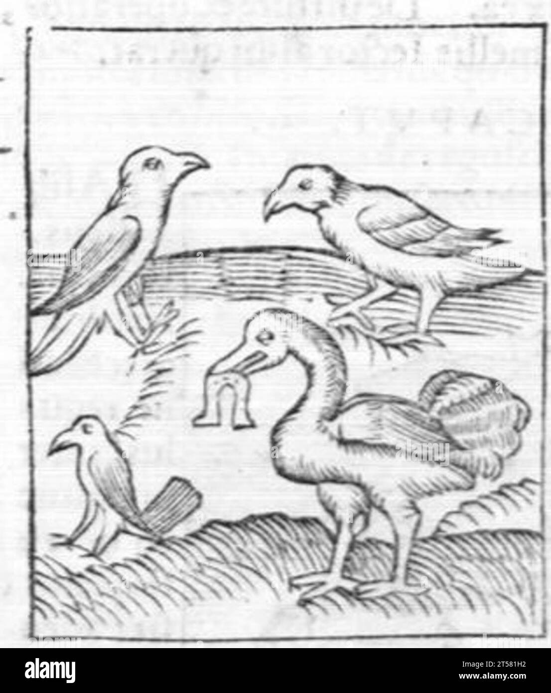 Hortus sanitatis..., 1536 Foto Stock