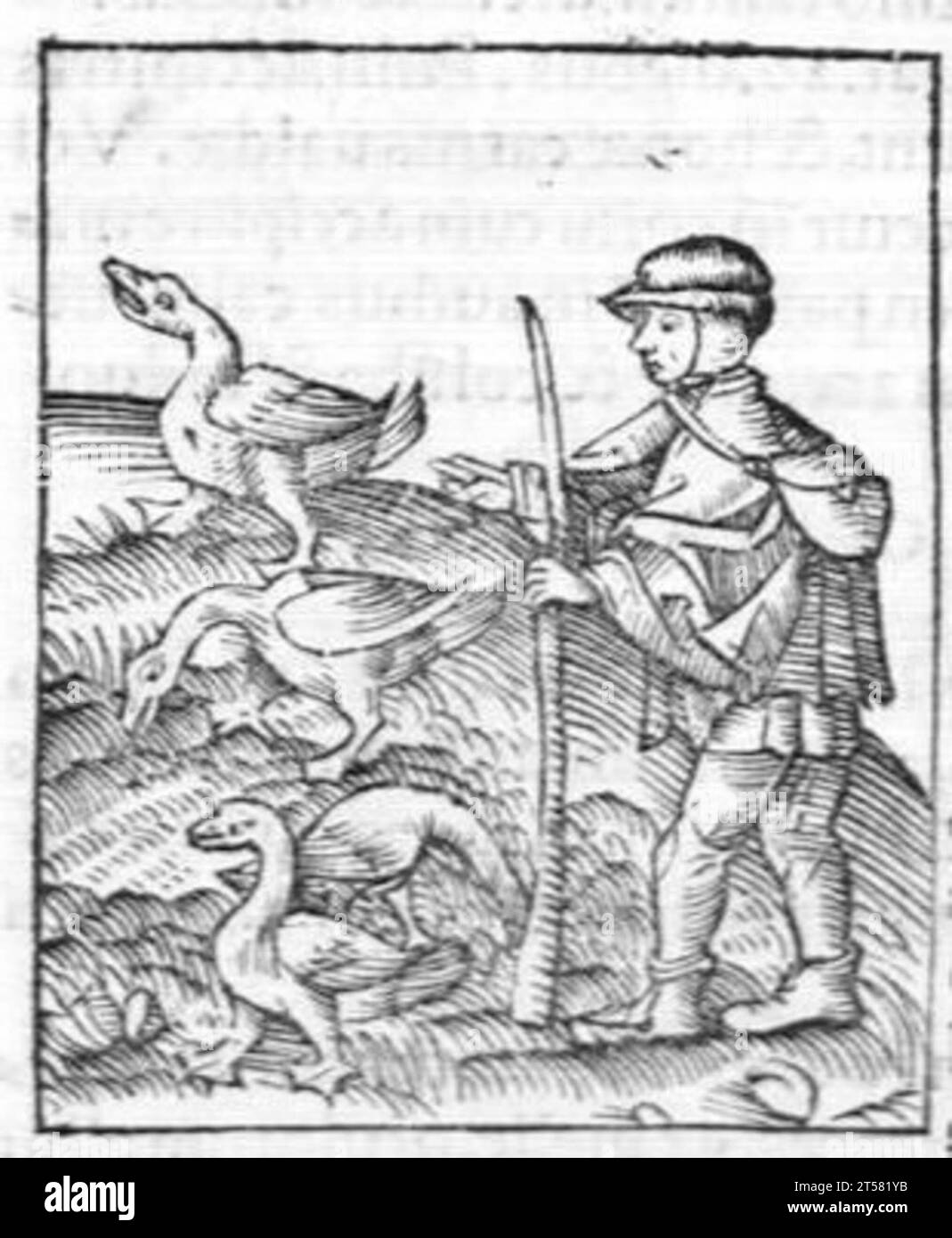 Hortus sanitatis..., 1536 Foto Stock