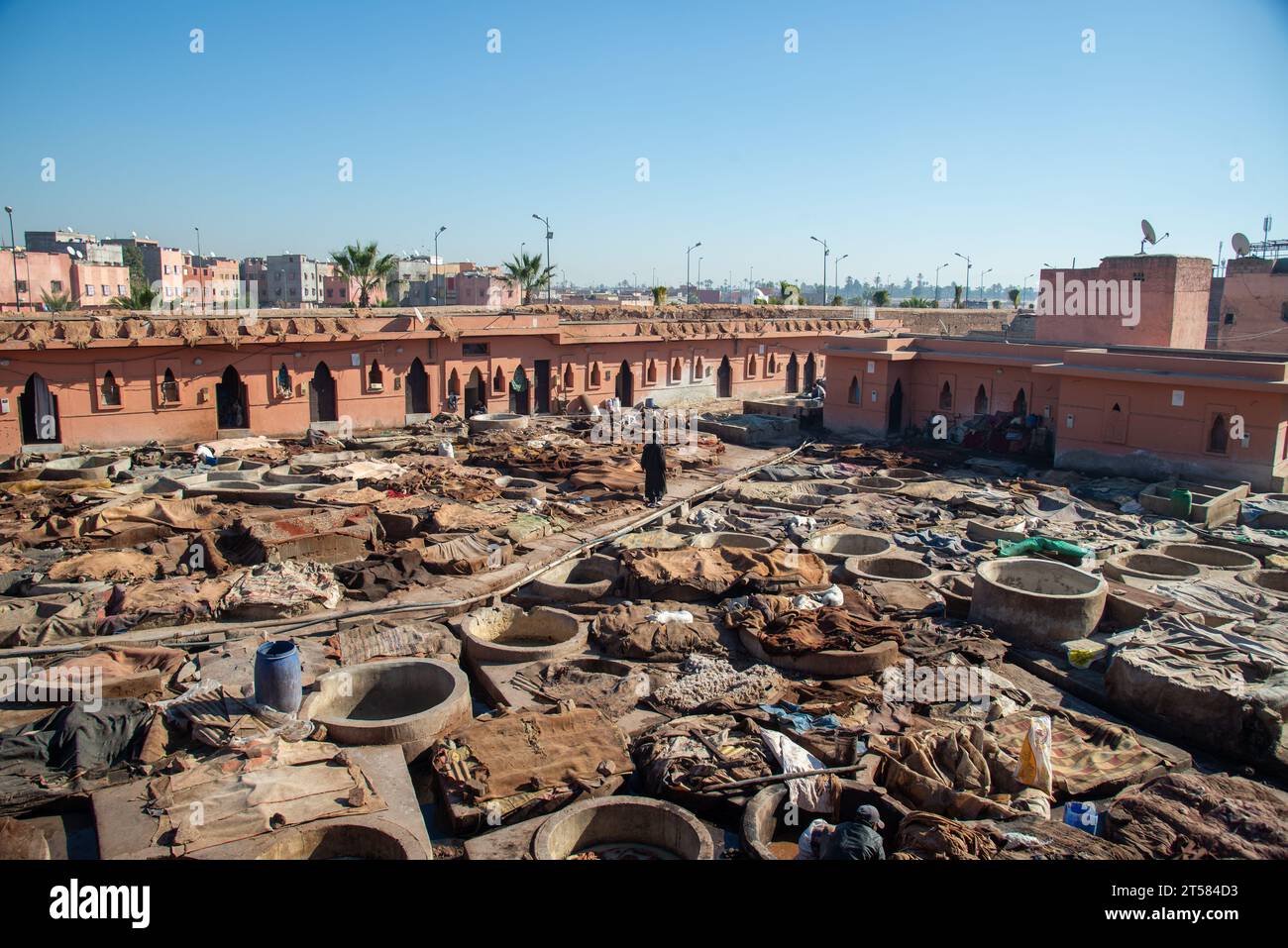 Concerie a Marrakech, Maroc Foto Stock