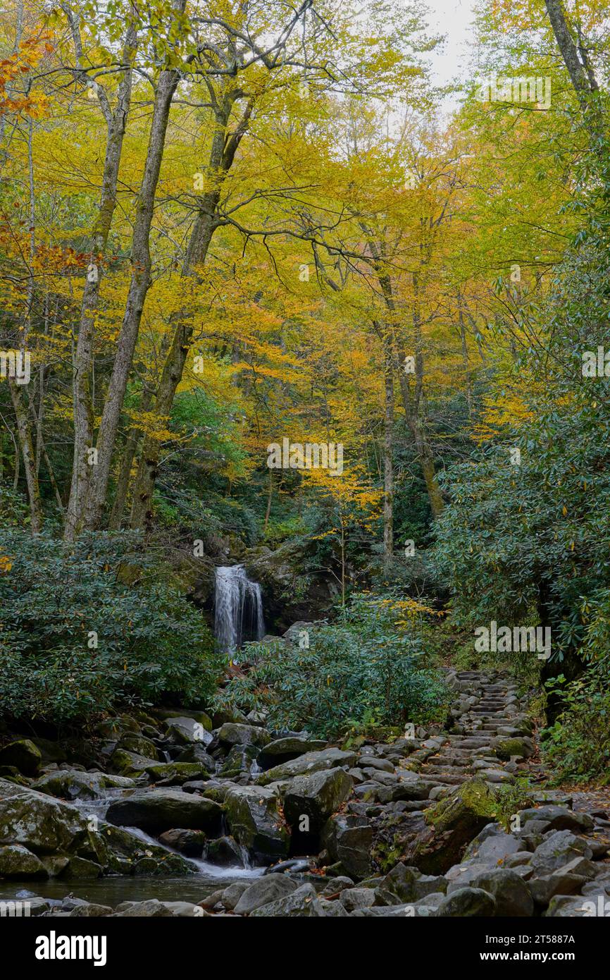 Grotto Falls nel Great Smoky Mountains National Park nel Tennessee, circondati dai colori autunnali Foto Stock