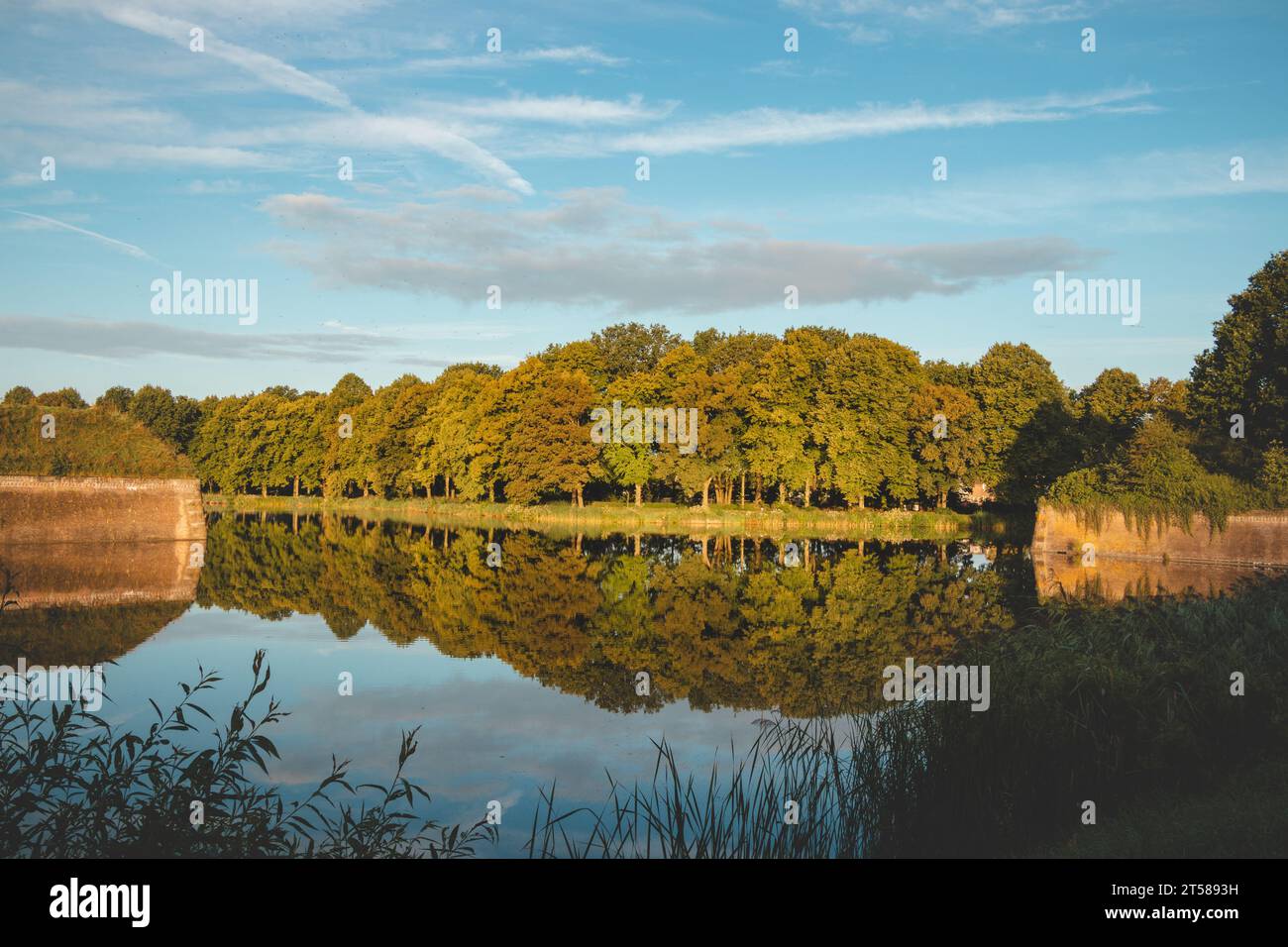 Riflesso di alberi autunnali nella tranquilla superficie di un lago vicino a Naarden, Paesi Bassi. Foto Stock