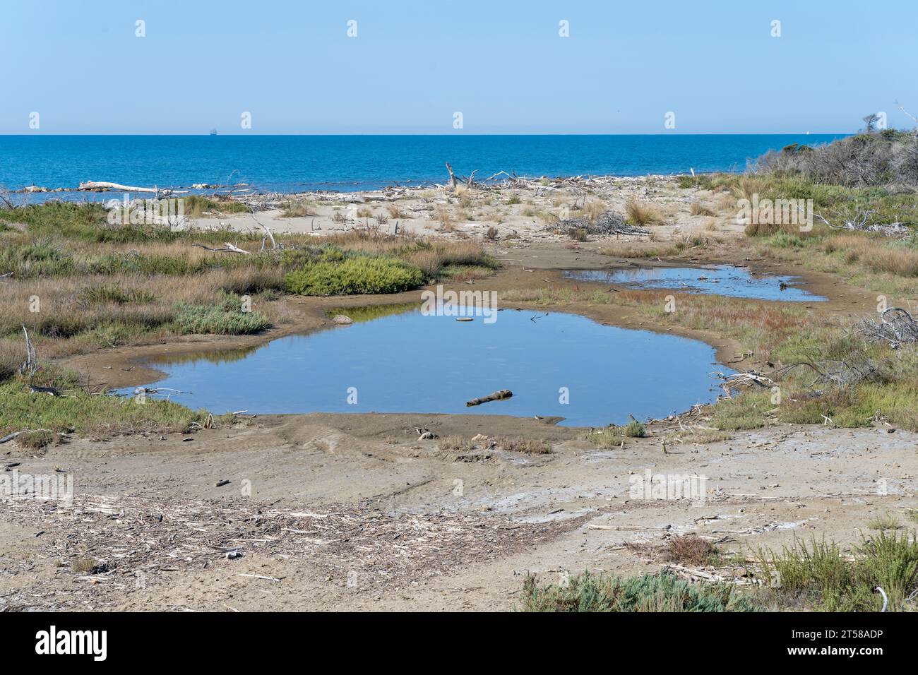 Paesaggio con laghetti sulla costa mediterranea, girato con la luce brillante dell'inizio dell'autunno a Marina di Alberese, Toscana, Italia Foto Stock