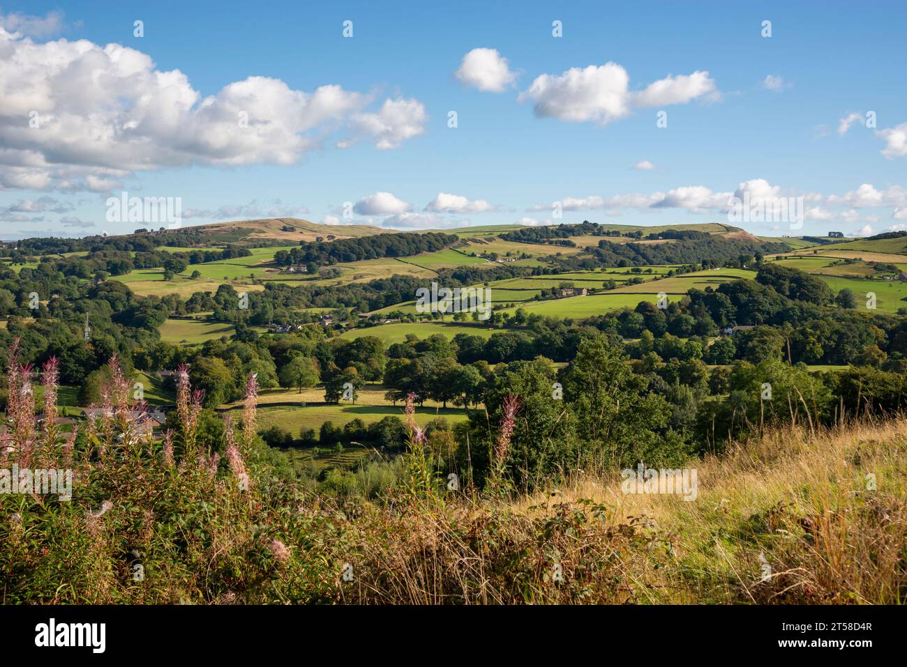 Splendida campagna vicino a Bollington, sul Cheshire, al confine del Derbyshire, Inghilterra nord-occidentale. Foto Stock