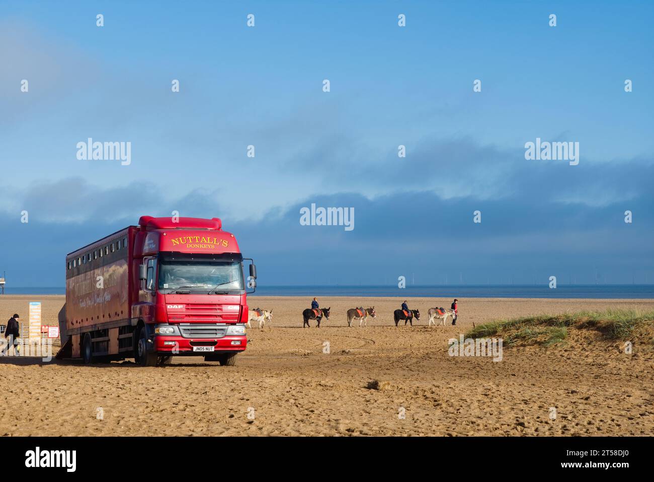 Gli asini marini di Nuttall a Skegness Foto Stock