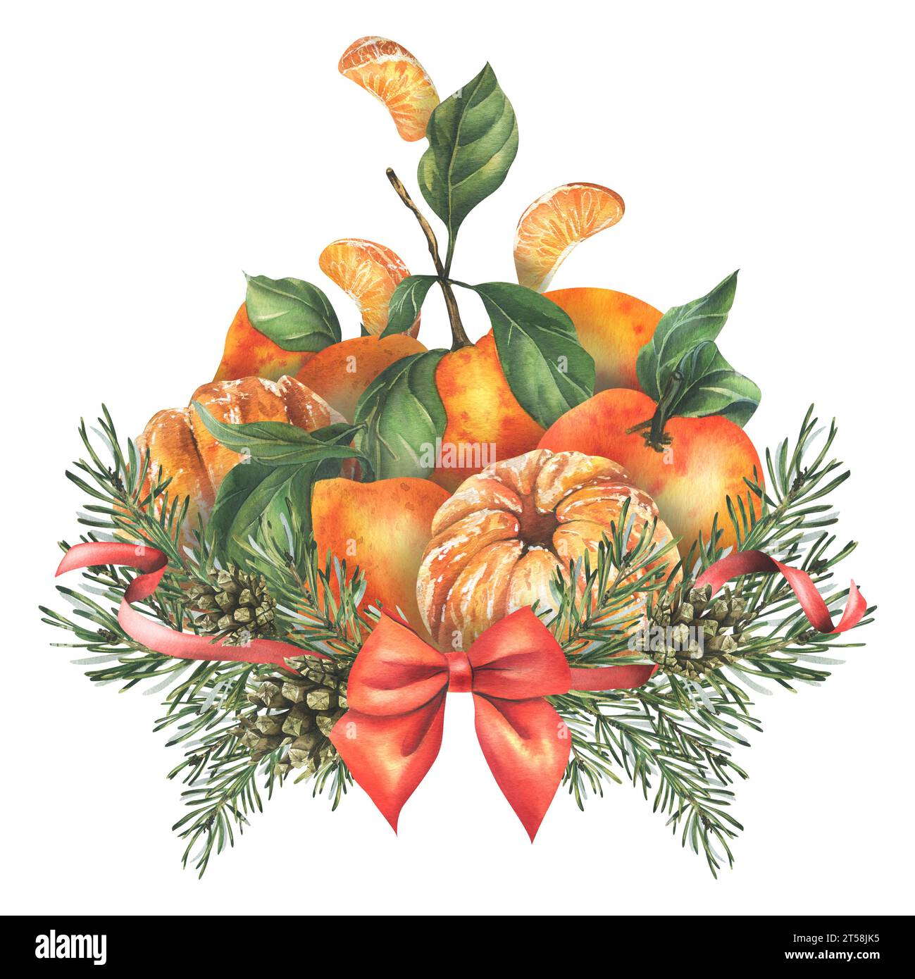 Un mazzo di mandarini con foglie con un'insegna di rami di pino con un fiocco rosso, nastri. Illustrazione acquerello, disegnata a mano. Composizione su a. Foto Stock