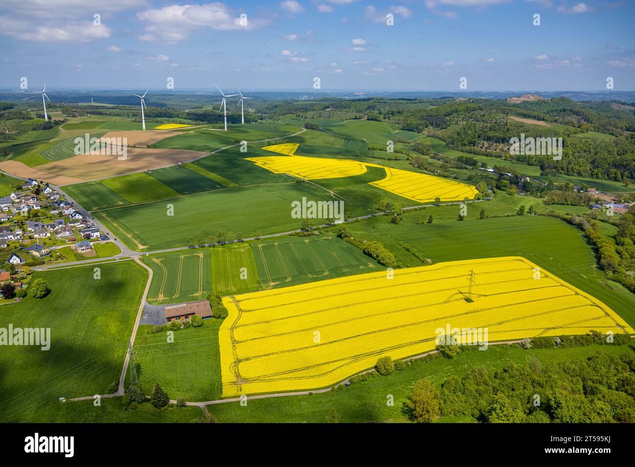 Vista aerea, campi di colza vicino all'autostrada federale 229, Naturpark Sauerland-Rothaargebirge, Estinghausen, Sundern, Sauerland, Renania settentrionale-Westfali Foto Stock