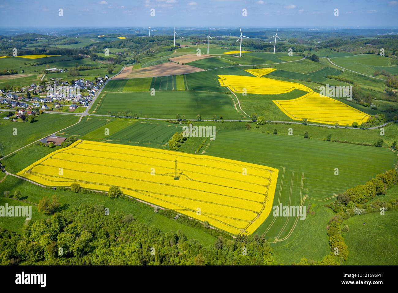 Vista aerea, campi di colza vicino all'autostrada federale 229, Naturpark Sauerland-Rothaargebirge, Estinghausen, Sundern, Sauerland, Renania settentrionale-Westfali Foto Stock