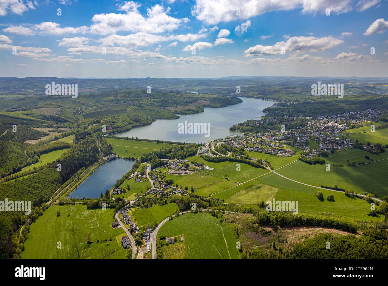 Vista aerea, diga e muro di Sorpesee, paesaggio collinare con danni forestali, Langscheid, Sundern, Sauerland, Renania settentrionale-Vestfalia, Germania, Tree deat Foto Stock
