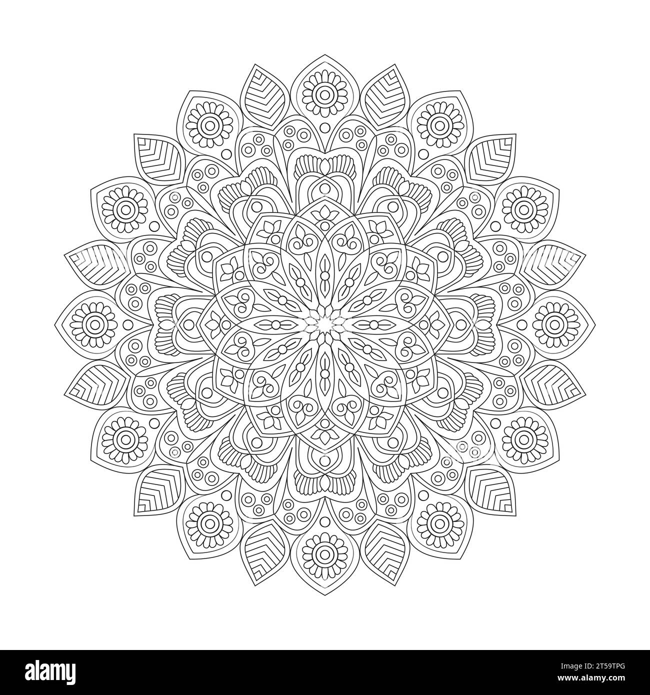 Pagina di mandala del libro da colorare per adulti Starry Night per l'interno del libro KDP. Petali pacifici, capacità di rilassarsi, esperienze cerebrali, paradiso armonioso, pace Illustrazione Vettoriale