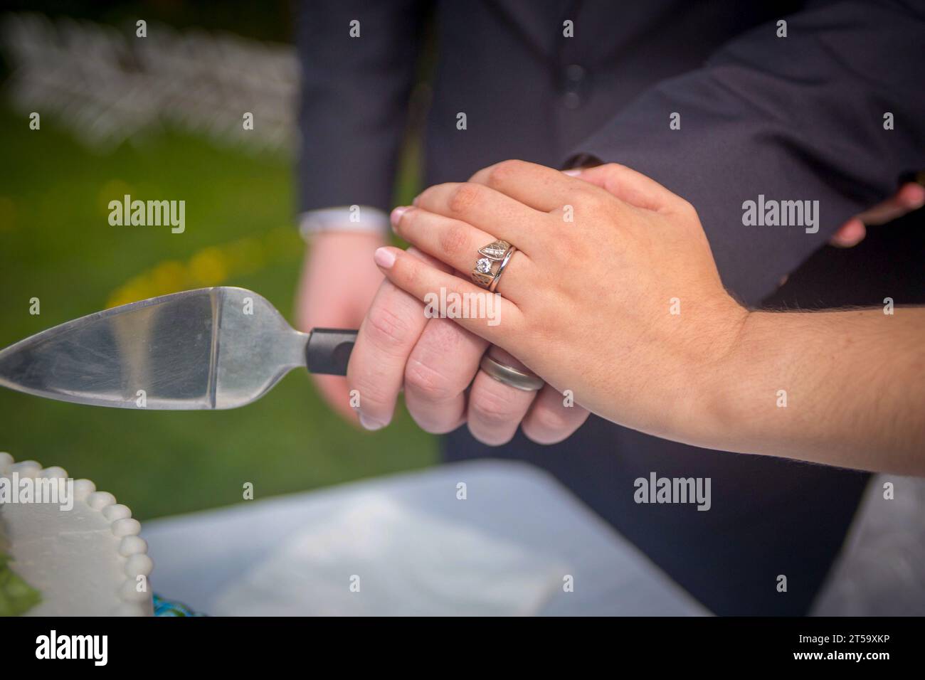 Le mani della sposa e degli sposi tagliano la torta nuziale Foto Stock