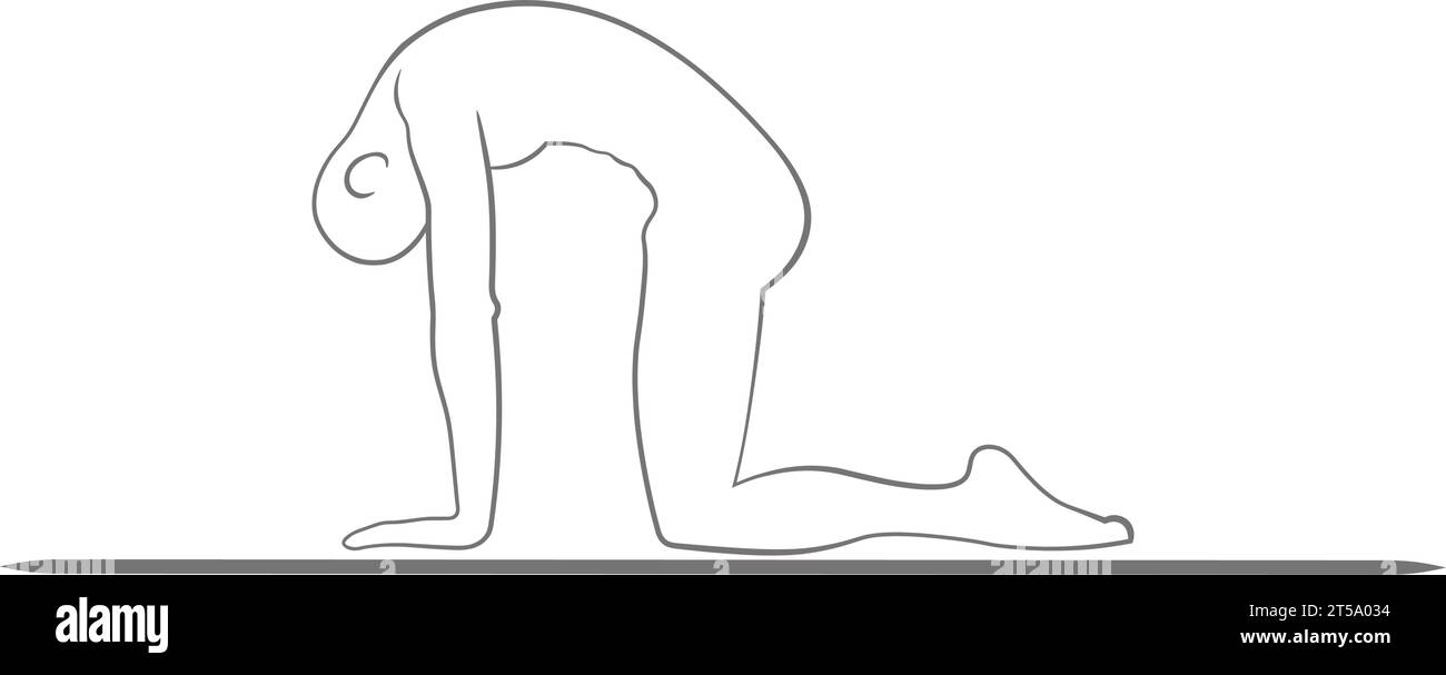 Migliora la flessibilità e trova la calma interiore con la posa Mindful Cat nella pratica dello yoga Illustrazione Vettoriale Migliora la flessibilità e trova la calma interiore con la posa Mindful Cat nella pratica dello yoga Illustrazione Vettoriale