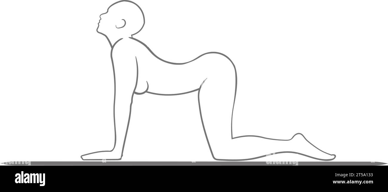 Bitilasana, una posa yoga che migliora il respiro e l'armonia all'interno del corpo Illustrazione Vettoriale