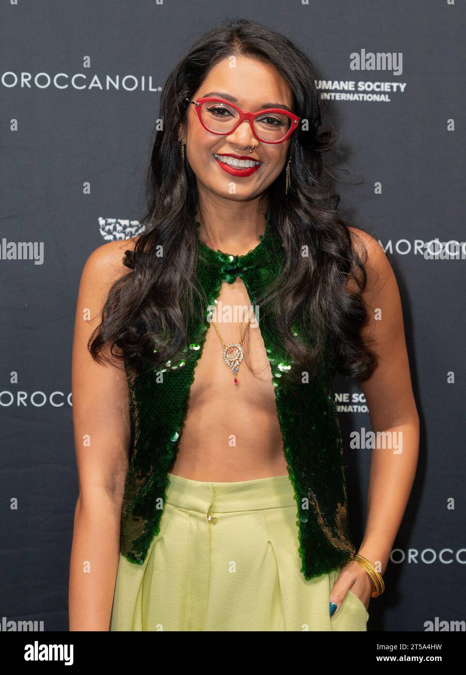 New York, USA. 3 novembre 2023. Priyanka Naik partecipa ogni anno al salvataggio della Humane Society! Gala a Cipriani 42nd Street a New York il 3 novembre 2023. (Foto di Lev Radin/Sipa USA) credito: SIPA USA/Alamy Live News Foto Stock