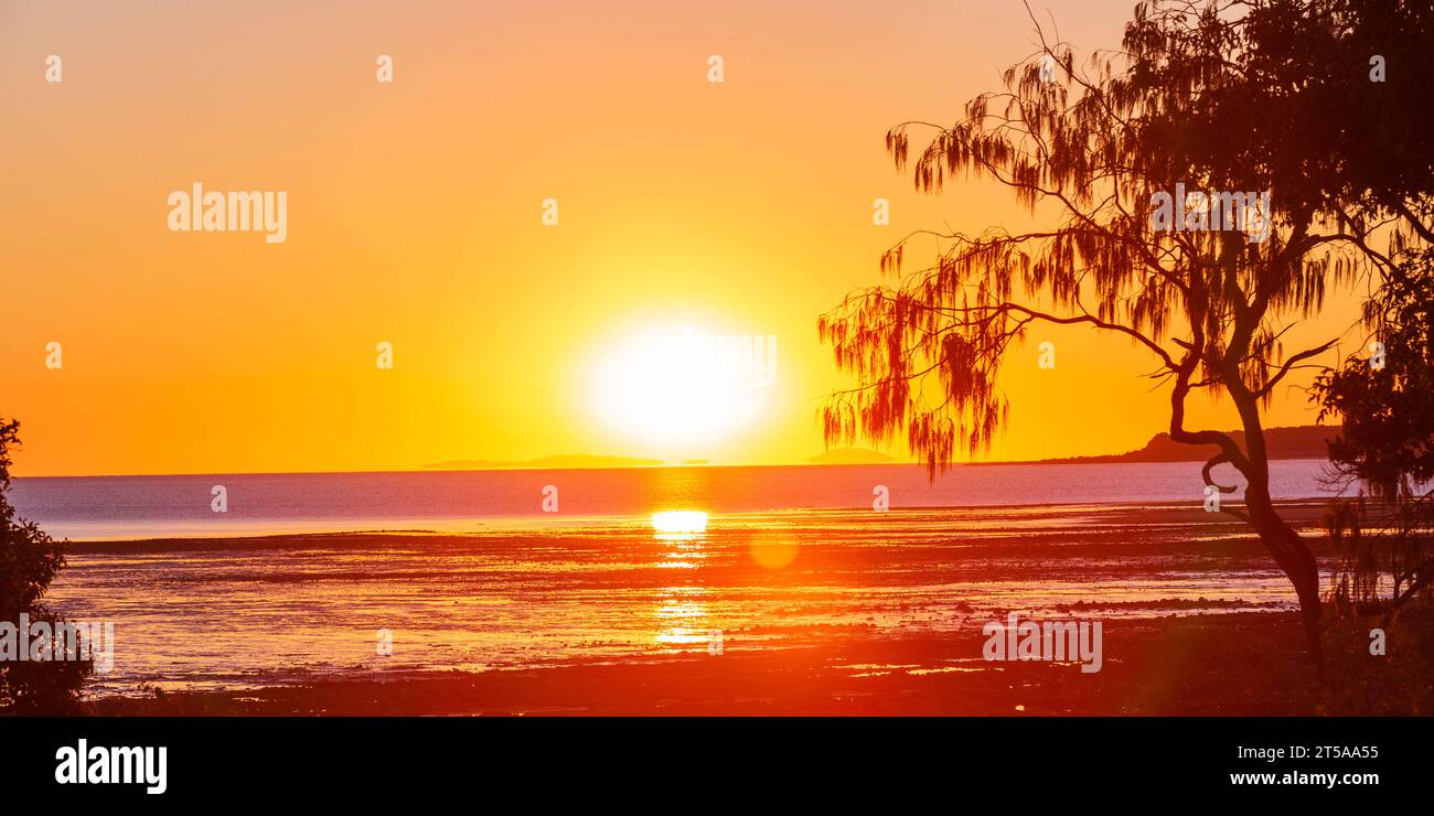 Alba sulle superfici fangose Foto Stock