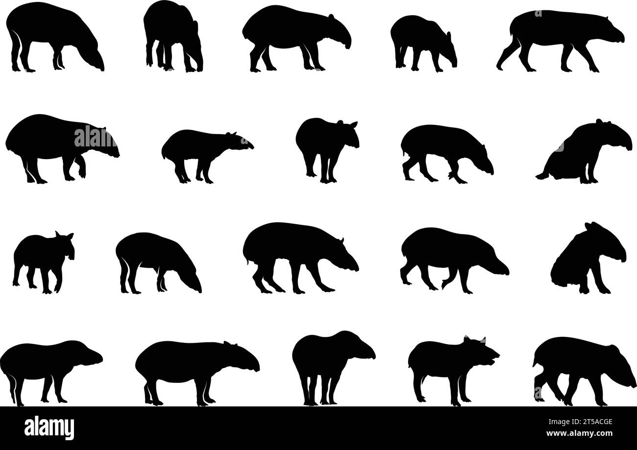 Sagome tapir, silhouette tapir malese, set vettoriale tapir, SVG tapir, set di animali tapir Illustrazione Vettoriale
