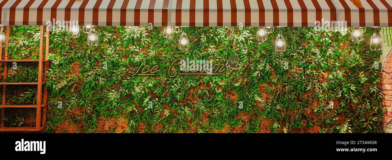 Consistenza foglie verdi. Bellissima parete decorativa di foglie con gelato testuale. Scopri lo sfondo dell'arredamento. Foto Stock