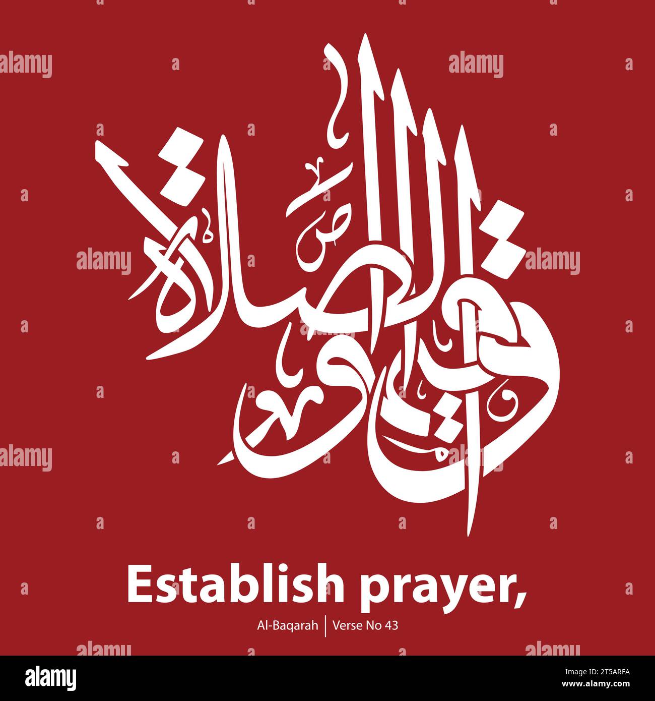 Concetto di calligrafia, tradotto in inglese come, stabilire la preghiera, versetto n. 43 da al-Baqarah Illustrazione Vettoriale