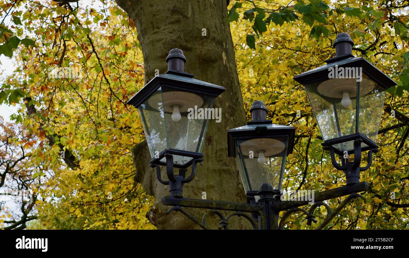 In autunno, un vecchio lampione in un parco Foto Stock