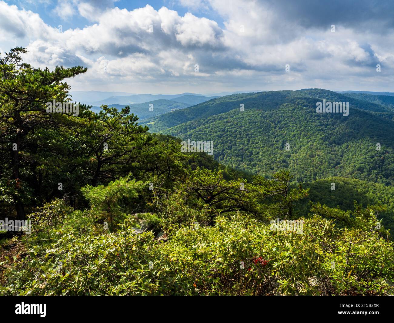 Al Cranny Crow Overlook nel West Virginia, scoprirai un mondo di natura selvaggia e meravigliosa. Il paesaggio è un accattivante mix di terreni accidentati Foto Stock