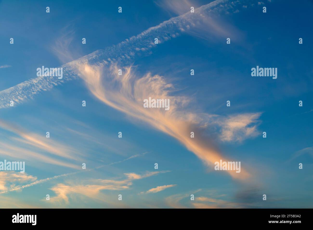 Cirrus nuvola contro un cielo blu con le unghie Foto Stock