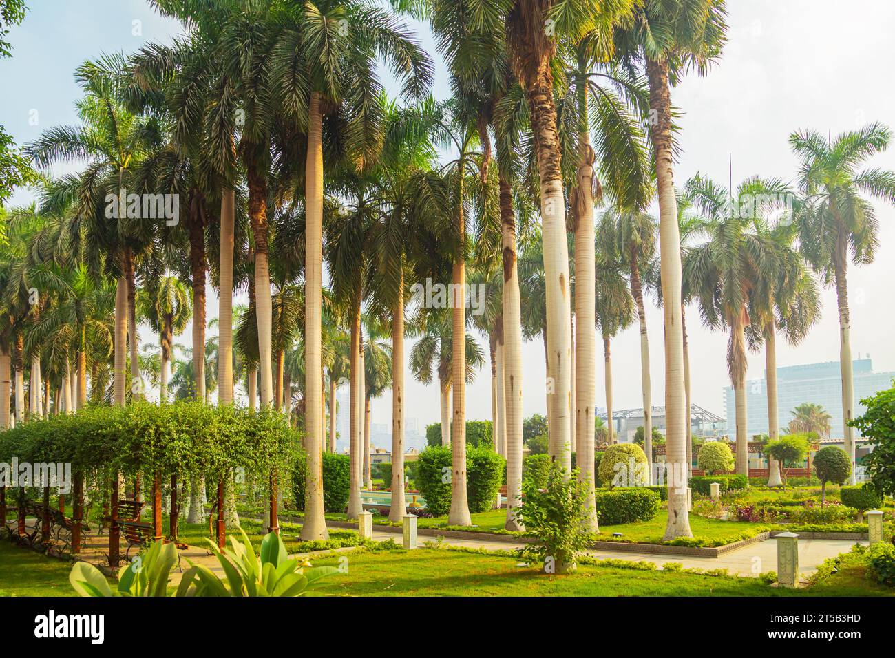 Splendido parco cittadino verde con piante esotiche. Isola di Zamalek, Cairo, Egitto – 25 ottobre 2023 Foto Stock