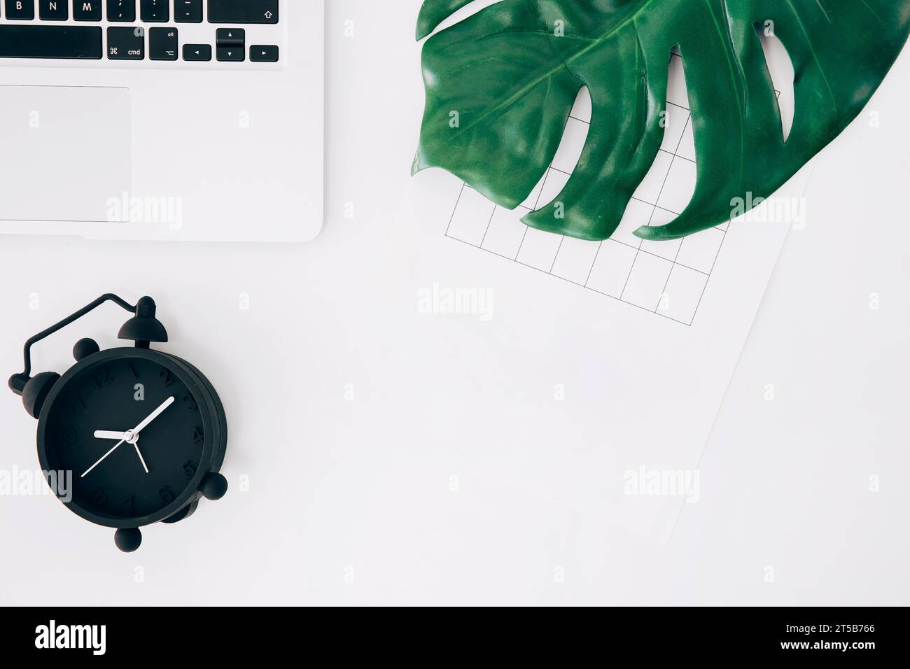 Sveglia nera con vista rialzata, pagina di un computer portatile verde con foglie di mostro e scrivania bianca Foto Stock