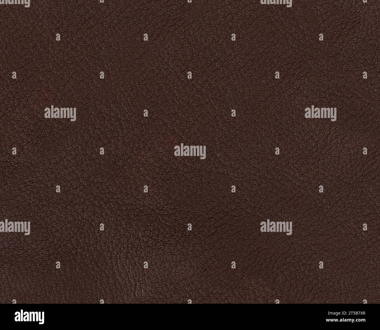 Texture della pelle premium marrone scuro pieno fiore, primo piano Foto Stock Texture della pelle premium marrone scuro pieno fiore, primo piano Foto Stock