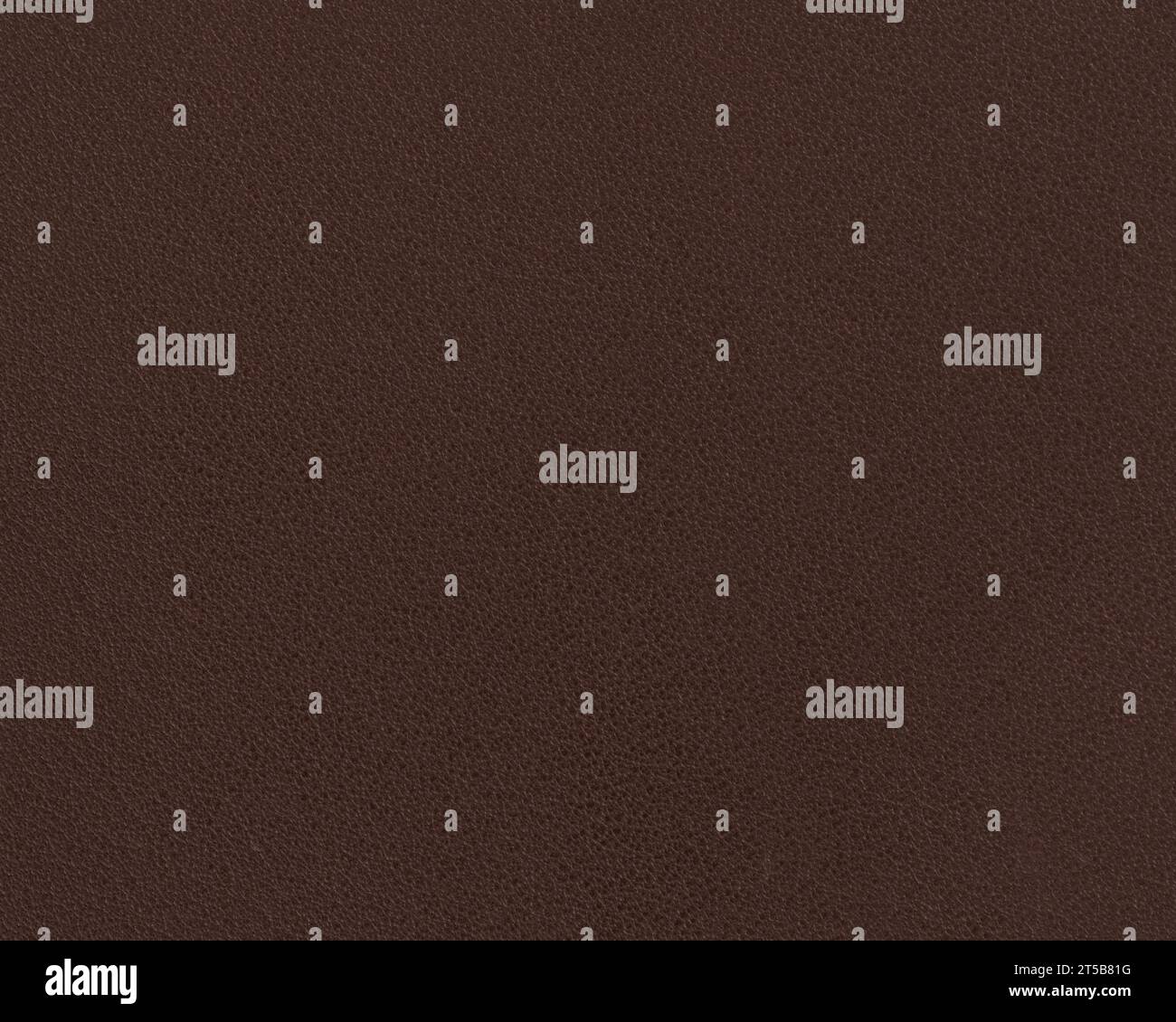 Texture della pelle premium marrone scuro pieno fiore, primo piano Foto Stock Texture della pelle premium marrone scuro pieno fiore, primo piano Foto Stock